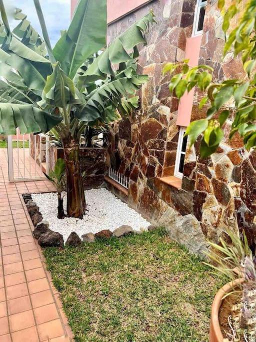 Lujosa Villa Con Piscina Privada Puerto de la Cruz  Exterior foto